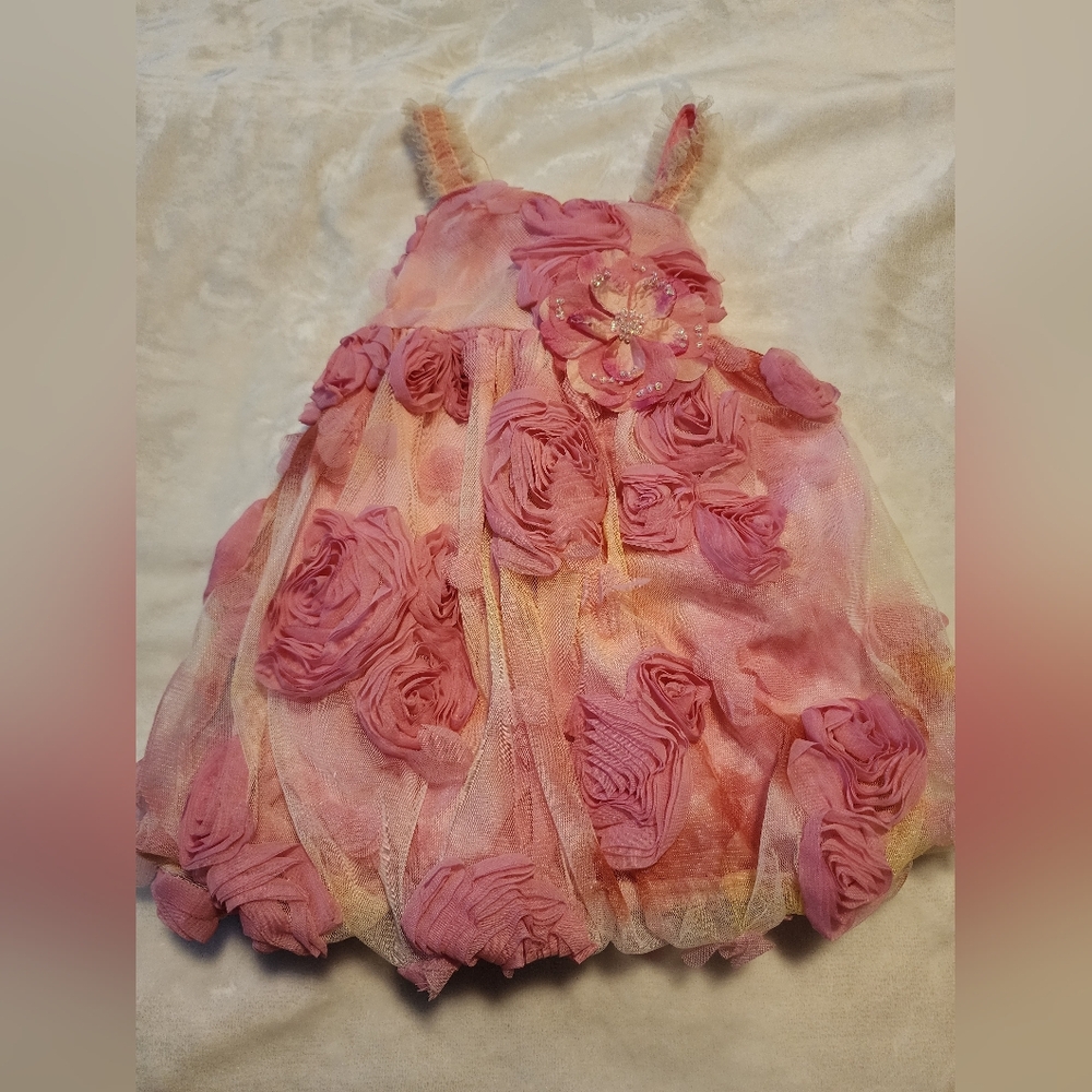 Boutique Cach Cach For Baby Elegant Pink Floral Kids Formal Dress Sz 24m